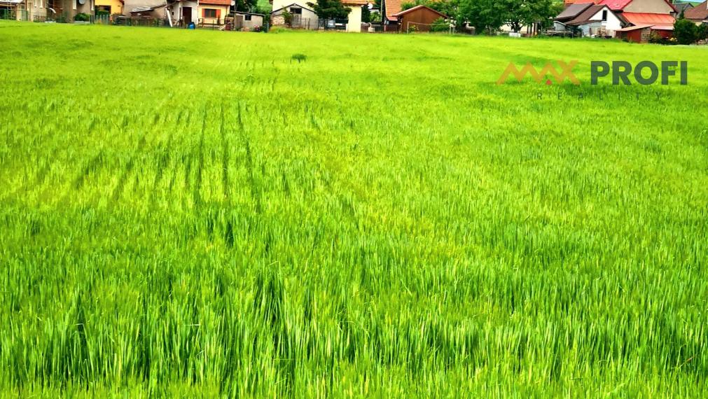 Na predaj pozemok v obci Žabokreky.