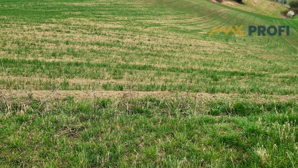 Na predaj, pozemok 5966m2,  Turčianske Jaseno, okres Martin