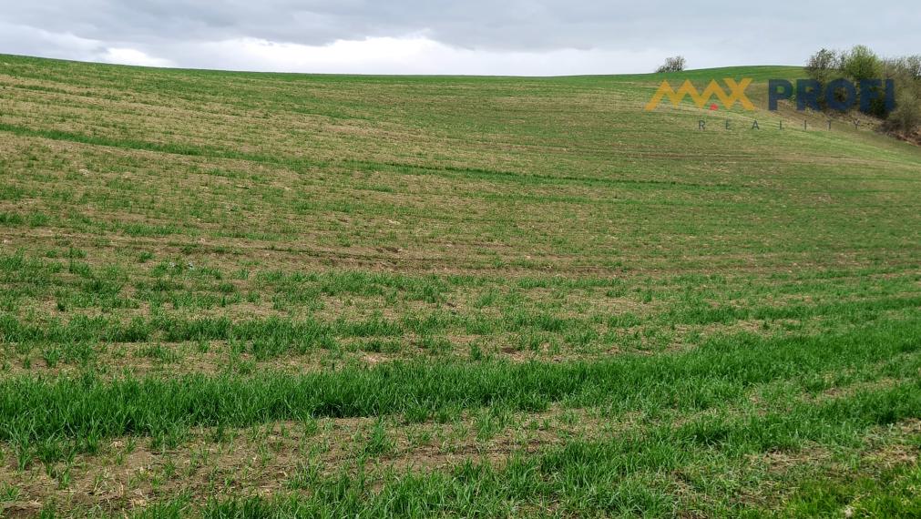 Na predaj, pozemok 5966m2,  Turčianske Jaseno, okres Martin