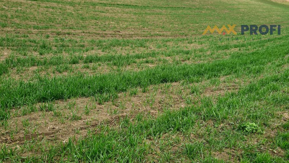 Na predaj, pozemok 5966m2,  Turčianske Jaseno, okres Martin