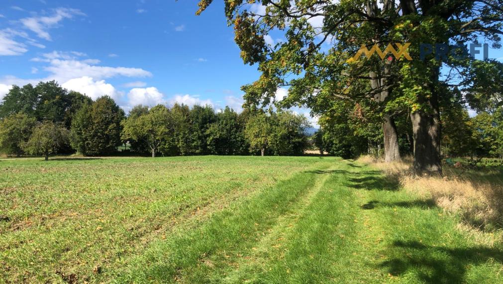 Na predaj,  pozemok, 10.000m², Mošovce, Turčianske Teplice