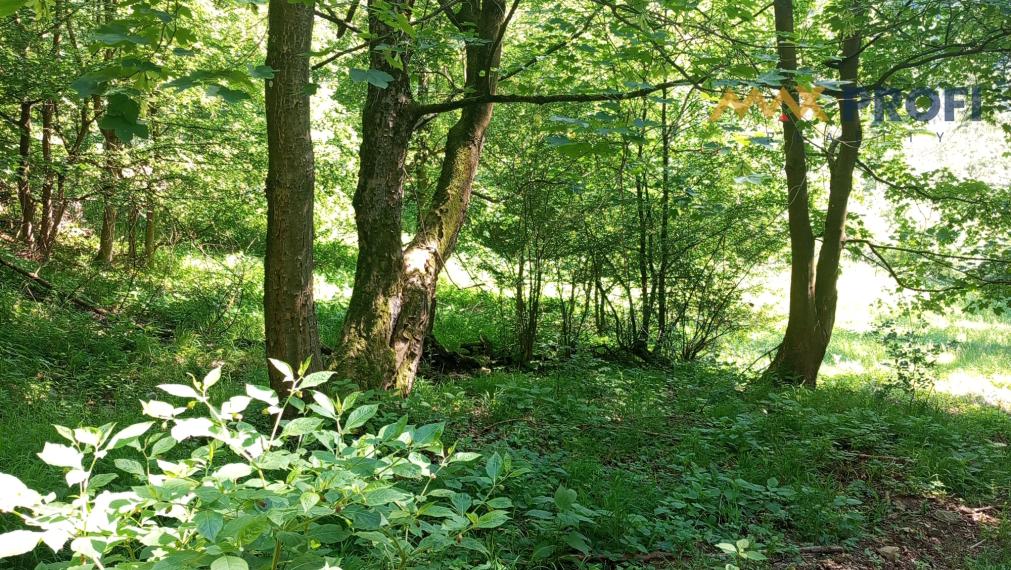 Predaj, pozemok pod lesom s potôčikom, Podhradie, okr. Martin, 1763m2