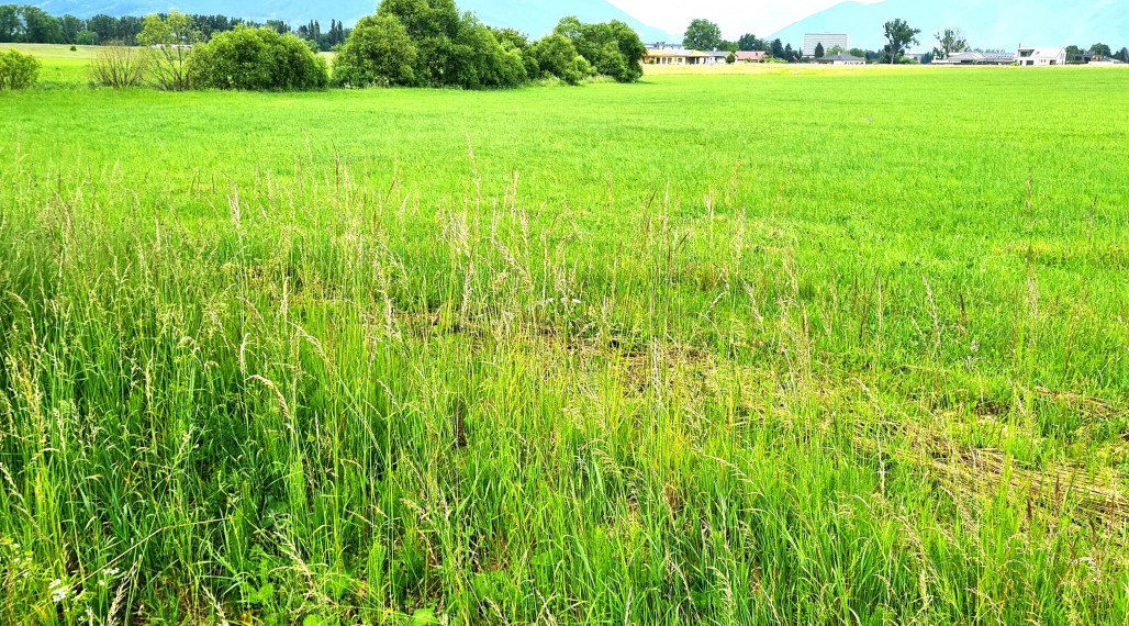 Na predaj pozemok, Martin, časť Tomčany – 14000m2