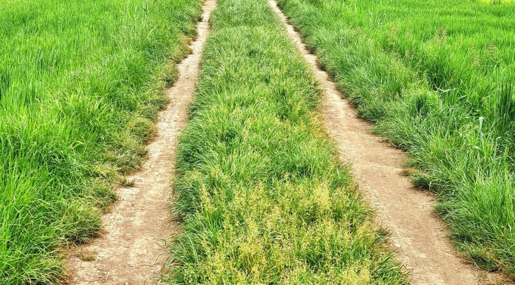 Na predaj pozemok v obci Žabokreky.