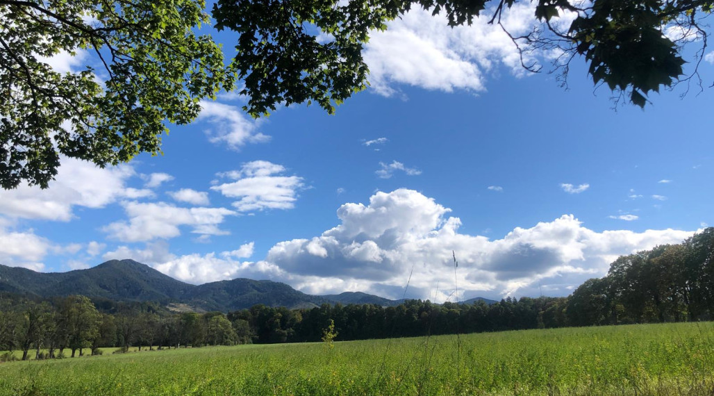 Na predaj,  pozemok, 10.000m², Mošovce, Turčianske Teplice