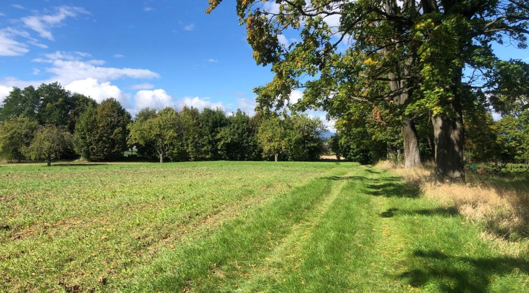 Na predaj, pozemok 15.000m2 - Mošovce, Turčianske Teplice