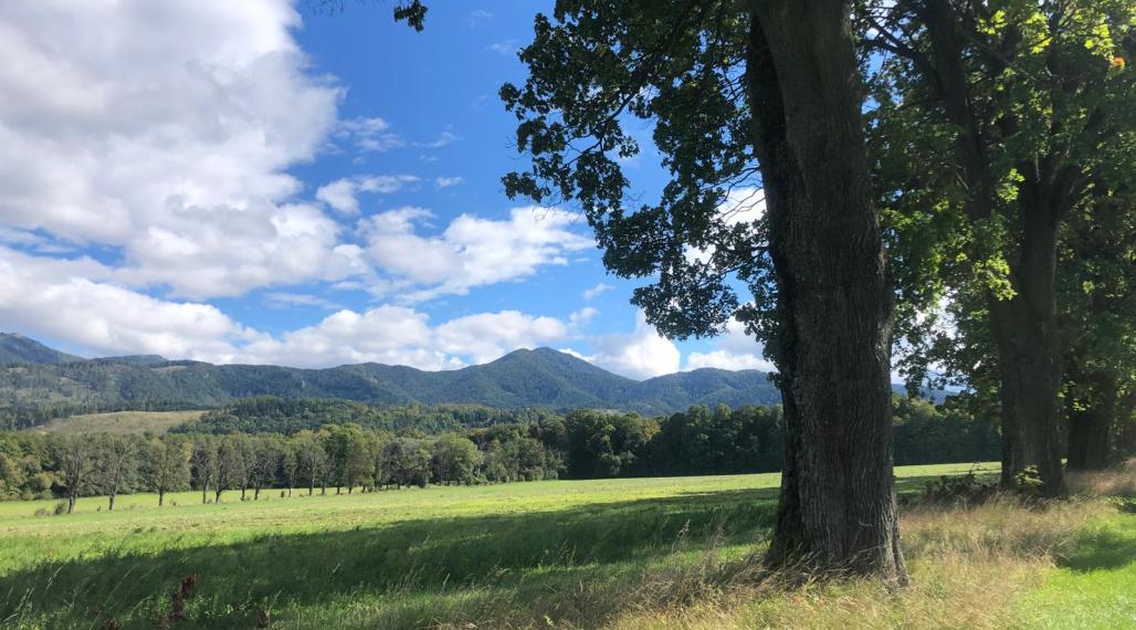 Na predaj, pozemok 15.000m2/30.000m2 - Mošovce, Turčianske Teplice