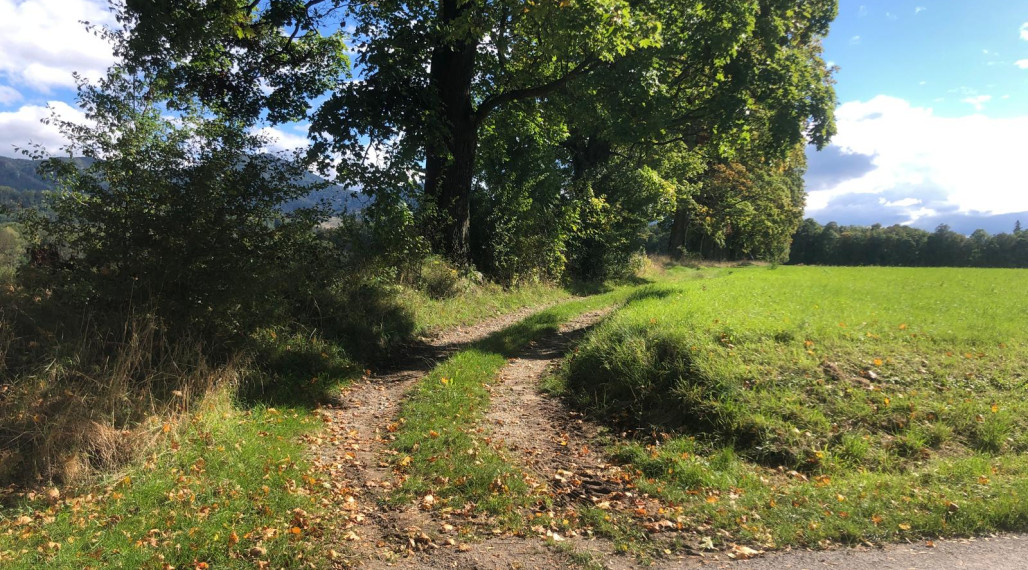 Na predaj, pozemok 15.000m2/30.000m2/50.000m2 - Mošovce, Turčianske Teplice