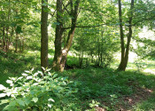 Na predaj: Pozemok pre dobrodruha alebo človeka s vlastnou víziou, Podhradie,  Martin, 1763m2 - fotografia 4