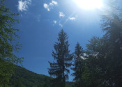 Na predaj: Pozemok pre dobrodruha alebo človeka s vlastnou víziou, Podhradie,  Martin, 1763m2 - fotografia 5