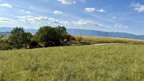 Na predaj, Stavebný pozemok, 3466 m² s prístupom z 2 strán, južný svah – Turčianske Jaseno, Martin - fotografia 8