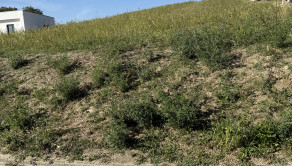 Na predaj, Stavebný pozemok, 3466 m² s prístupom z 2 strán, južný svah – Turčianske Jaseno, Martin - fotografia 5