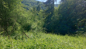 Na predaj: Pozemok pre dobrodruha alebo človeka s vlastnou víziou, Podhradie,  Martin, 1763m2 - fotografia 3