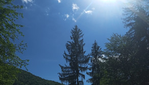Na predaj: Pozemok pre dobrodruha alebo človeka s vlastnou víziou, Podhradie,  Martin, 1763m2 - fotografia 5