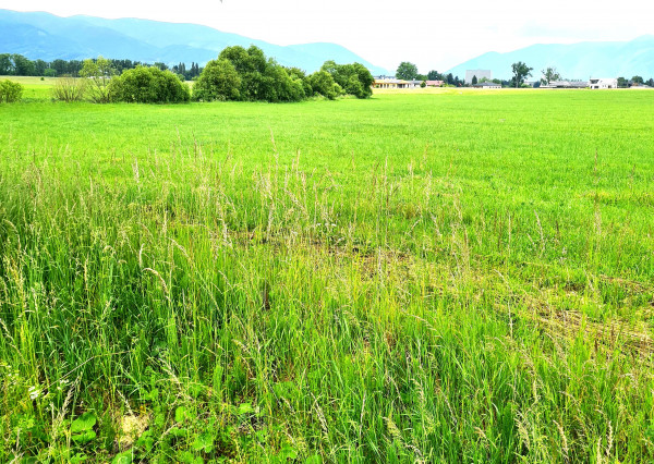 Na predaj pozemok, Martin, časť Tomčany – 14000m2