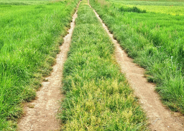 Na predaj pozemok v obci Žabokreky.