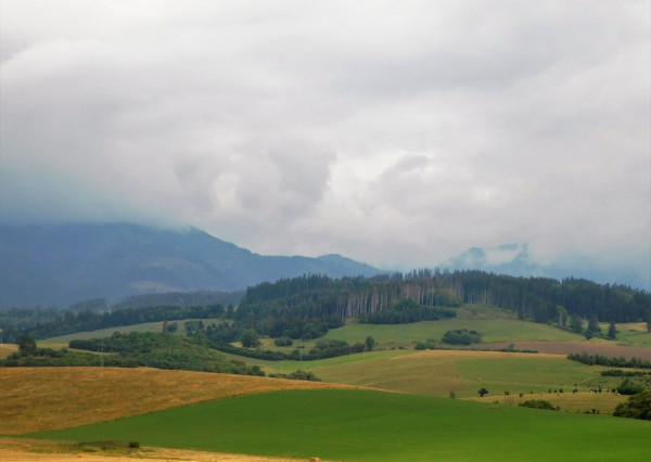 Predaj, pozemok, 43.895 m2, v blízkosti Liptovskej Mary, Liptovský Mikuláš