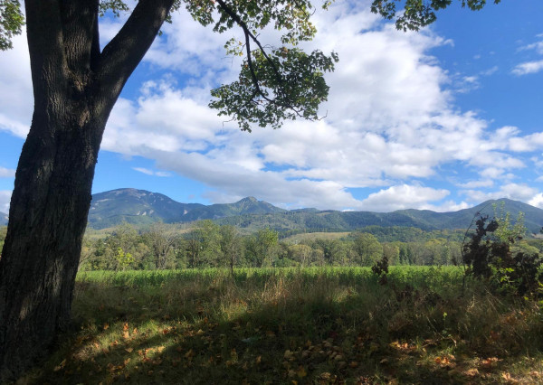 Na predaj,  pozemok, 10.000m², Mošovce, Turčianske Teplice