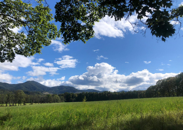 Na predaj,  pozemok, 10.000m², Mošovce, Turčianske Teplice