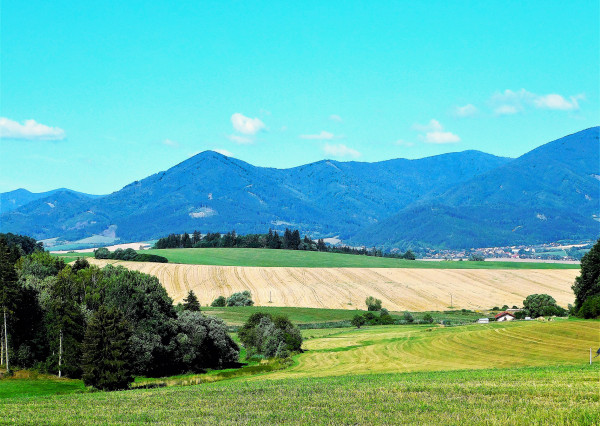 Investičná príležitosť - na predaj pozemok, 15 473 m², Dolný Kalník -5 km od Martina.