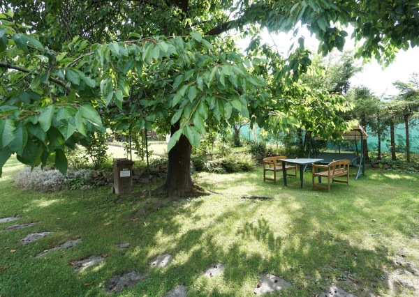 Predaj rekreačného/stavebného pozemku pri potôčiku - 692m2 s chatou,  Martin, Stráne