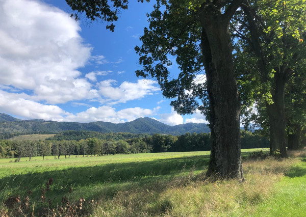 Na predaj, pozemok 100.000m2 - Mošovce, Turčianske Teplice