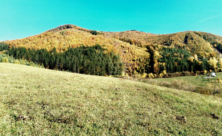 Investičný pozemok v obci Zbyňov - fotografia 4