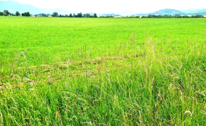 Na predaj, pozemok, rozvojové územie v prémiovej časti Martina – Tomčany ,14000m2 - fotografia 3