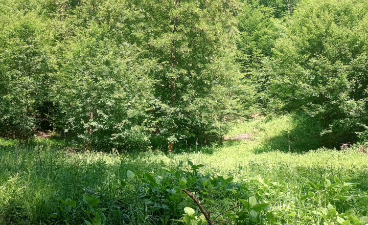 Na predaj: Pozemok pre dobrodruha alebo človeka s vlastnou víziou, Podhradie,  Martin, 1763m2 - fotografia 6