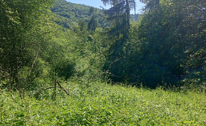 Na predaj: Pozemok pre dobrodruha alebo človeka s vlastnou víziou, Podhradie,  Martin, 1763m2 - fotografia 3