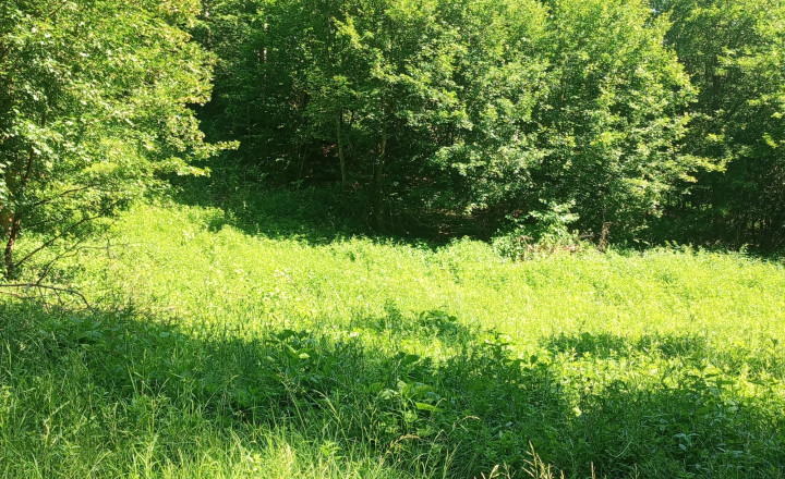 Na predaj: Pozemok pre dobrodruha alebo človeka s vlastnou víziou, Podhradie,  Martin, 1763m2