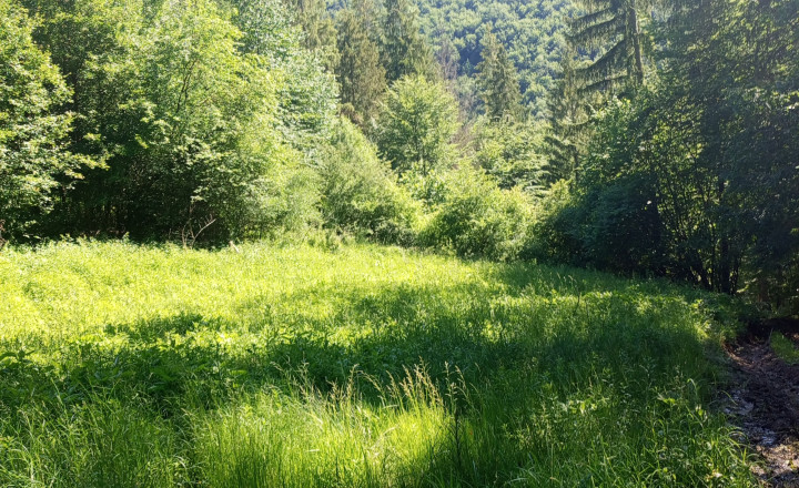 Na predaj: Pozemok pre dobrodruha alebo človeka s vlastnou víziou, Podhradie,  Martin, 1763m2 - fotografia 7