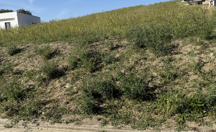Na predaj, Stavebný pozemok, 3466 m² s prístupom z 2 strán, južný svah – Turčianske Jaseno, Martin - fotografia 4