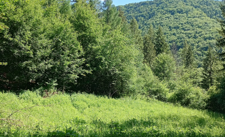 Na predaj: Pozemok pre dobrodruha alebo človeka s vlastnou víziou, Podhradie,  Martin, 1763m2