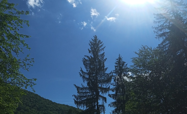 Na predaj: Pozemok pre dobrodruha alebo človeka s vlastnou víziou, Podhradie,  Martin, 1763m2 - fotografia 4