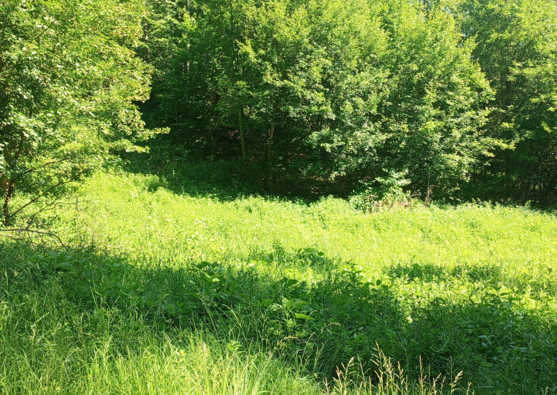 Na predaj: Pozemok pre dobrodruha alebo človeka s vlastnou víziou, Podhradie,  Martin, 1763m2